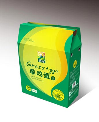 鵬輝雞蛋包裝設計—草雞蛋包裝設計效果圖