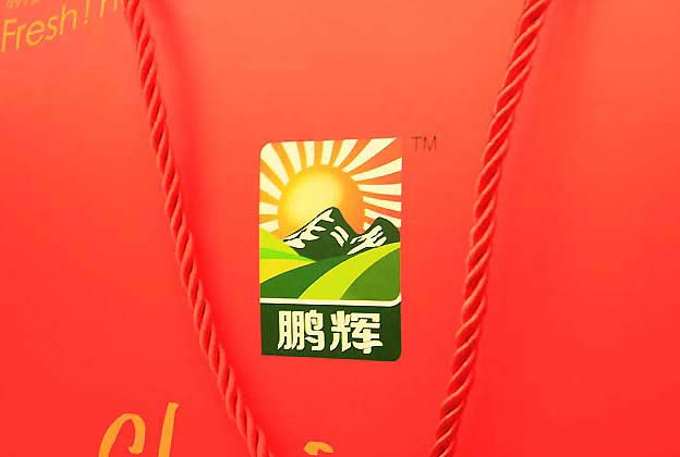 鵬輝雞蛋包裝設計—標志設計展示（一）