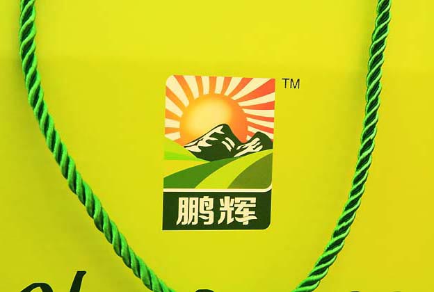鵬輝雞蛋包裝設計—標志設計展示（二）