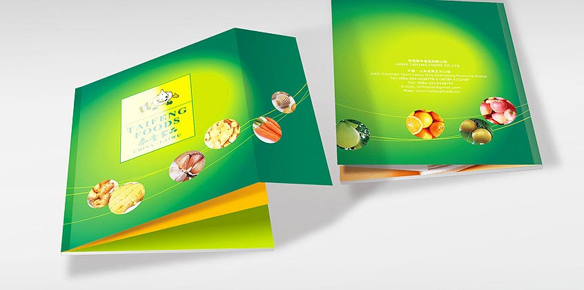 泰豐產(chǎn)品畫冊設(shè)計—畫冊封面展示